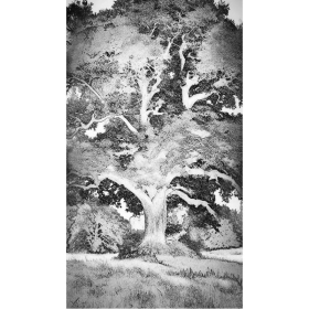 ElixSir - Dr Bach -Valérie Knight Mes Fleurs de BACH 7 - mesfleursdebach.com 