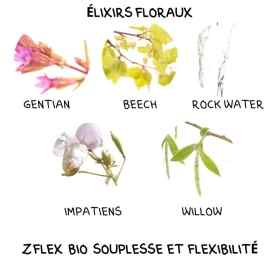 Z Flex bio souplesse et flexibilité 1 Litre Laboratoire Mint-e 7 - mesfleursdebach.com 