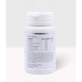 Z-MAG+ - Magnesium Laboratoire Mint-e 1 - mesfleursdebach.com 