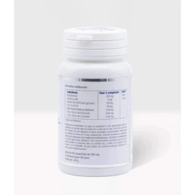 Z-MAG+ - Magnesium Laboratoire Mint-e 1 - mesfleursdebach.com 