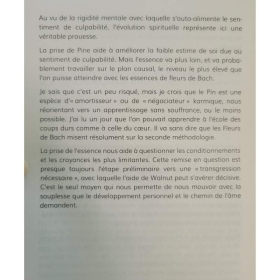 Fleurs de Bach, le pouvoir de la spiritualité - Dr Ricardo Orozco Mes Fleurs de BACH 6 - mesfleursdebach.com 