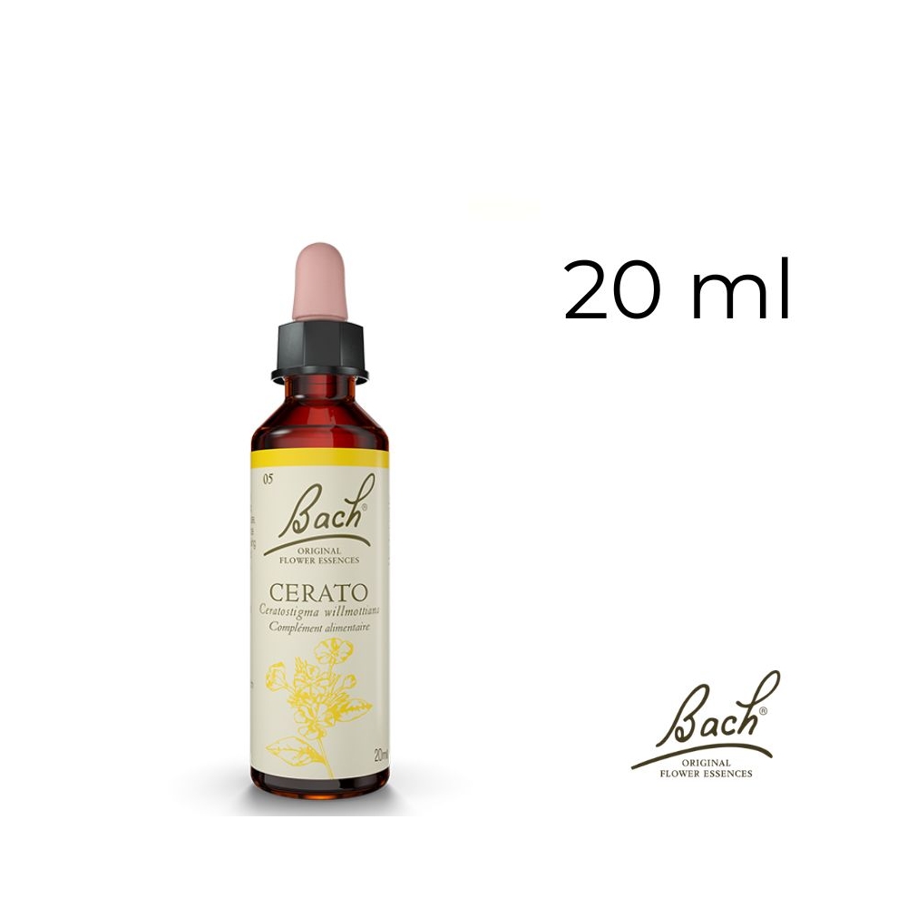 Cerato Bach Original - Fleur de Bach Authentique 20 ml (Plumbago) Bach Original Nelsons 1 - mesfleursdebach.com Cerato Bach Original - Fleur de Bach Authentique 20 ml (Plumbago) Bach Original Nelsons 1 - mesfleursdebach.com