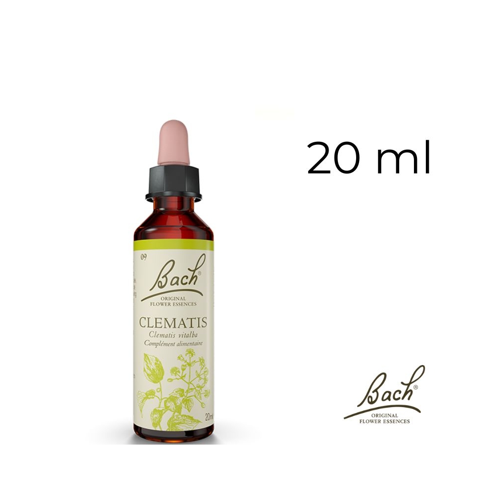 Clematis Bach Original - Fleur de Bach Authentique 20 ml (Clématite) Bach Original Nelsons 1 - mesfleursdebach.com 