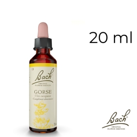 Gorse Bach Original - Fleur de Bach Authentique 20 ml (Ajonc) Bach Original Nelsons 1 - mesfleursdebach.com 