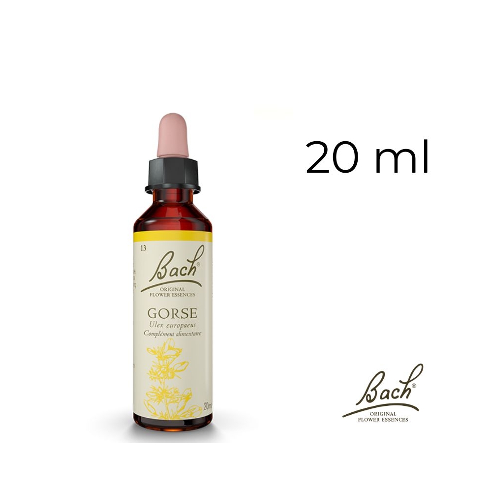 Gorse Bach Original - Fleur de Bach Authentique 20 ml (Ajonc) Bach Original Nelsons 1 - mesfleursdebach.com Gorse Bach Original - Fleur de Bach Authentique 20 ml (Ajonc) Bach Original Nelsons 1 - mesfleursdebach.com