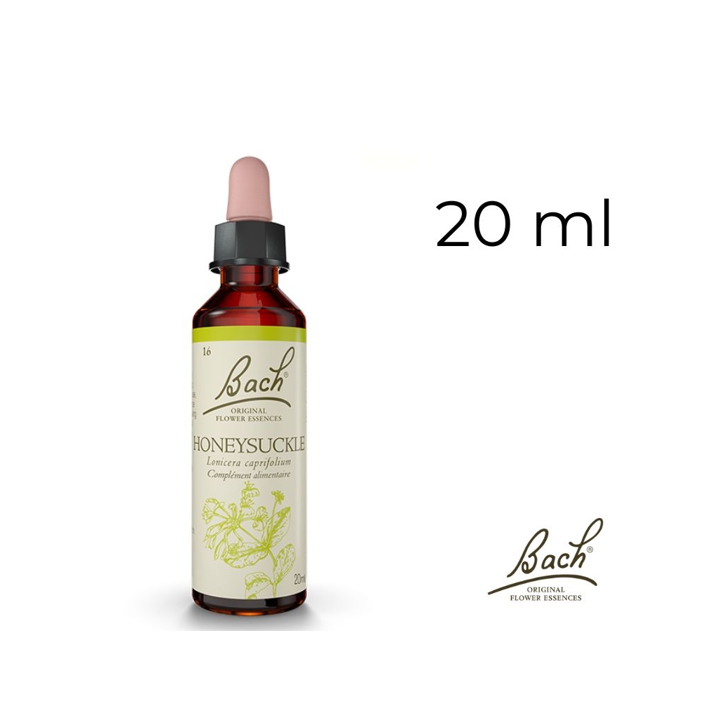 Honeysuckle Bach Original - Fleur de Bach Authentique 20 ml (Chèvrefeuille) Bach Original Nelsons 1 - mesfleursdebach.com Honeysuckle Bach Original - Fleur de Bach Authentique 20 ml (Chèvrefeuille) Bach Original Nelsons 1 - mesfleursdebach.com