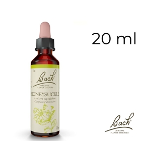 Honeysuckle Bach Original - Fleur de Bach Authentique 20 ml (Chèvrefeuille) Bach Original Nelsons 1 - mesfleursdebach.com 