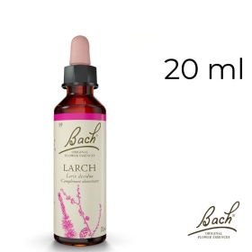 Larch Bach Original - Fleur de Bach Authentique 20 ml (Mélèze) Bach Original Nelsons 1 - mesfleursdebach.com 