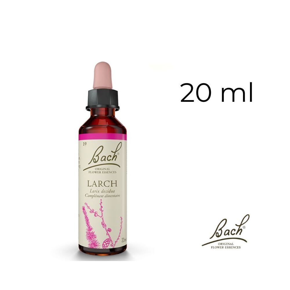 Larch Bach Original - Fleur de Bach Authentique 20 ml (Mélèze) Bach Original Nelsons 1 - mesfleursdebach.com Larch Bach Original - Fleur de Bach Authentique 20 ml (Mélèze) Bach Original Nelsons 1 - mesfleursdebach.com