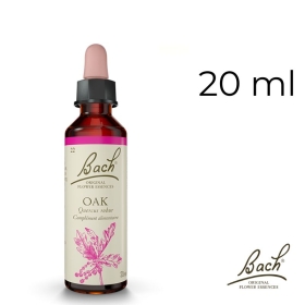 Oak Bach Original - Fleur de Bach Authentique 20 ml (Chêne) Bach Original Nelsons 1 - mesfleursdebach.com 