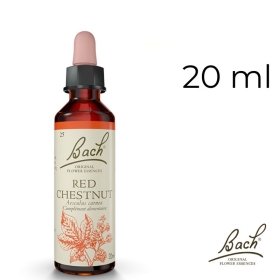 Red Chestnut Bach Original - Fleur de Bach Authentique 20 ml (Marronnier Rouge) Bach Original Nelsons 1 - mesfleursdebach.com 