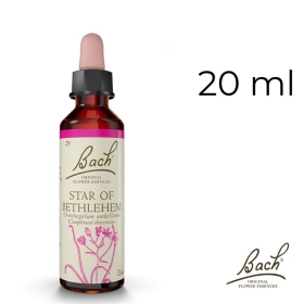 Star of Bethlehem Bach Original - Fleur de Bach Authentique 20 ml (Étoile de Bethléem) Bach Original Nelsons 1 - mesfleursdebach