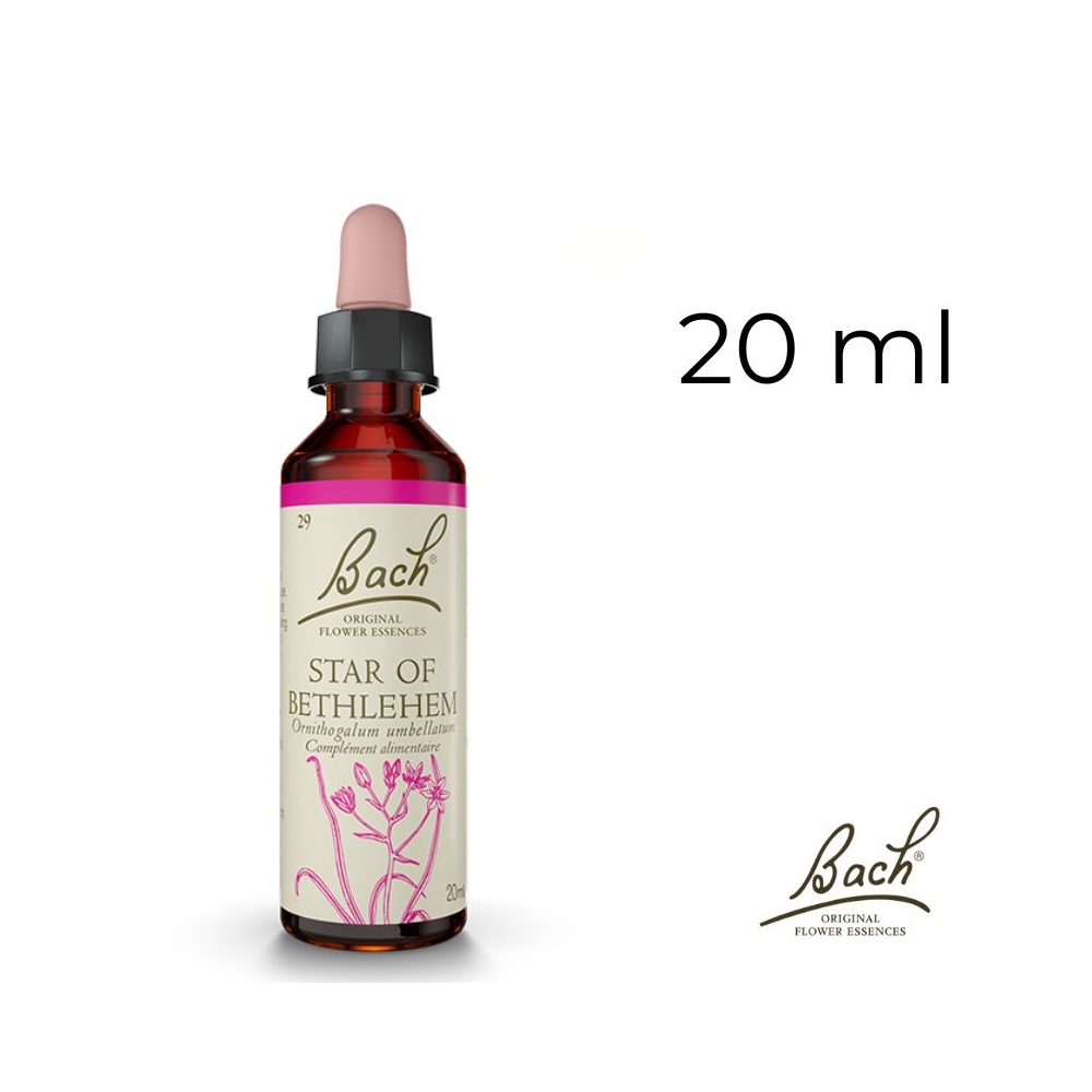 Star of Bethlehem Bach Original - Fleur de Bach Authentique 20 ml (Étoile de Bethléem) Bach Original Nelsons 1 - mesfleursdebach