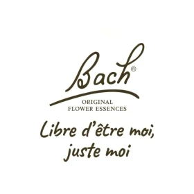 Star of Bethlehem Bach Original - Fleur de Bach Authentique 20 ml (Étoile de Bethléem) Bach Original Nelsons 10 - mesfleursdebac