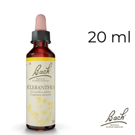 Scleranthus Bach Original - Fleur de Bach Authentique 20 ml (Alène) Bach Original Nelsons 1 - mesfleursdebach.com 
