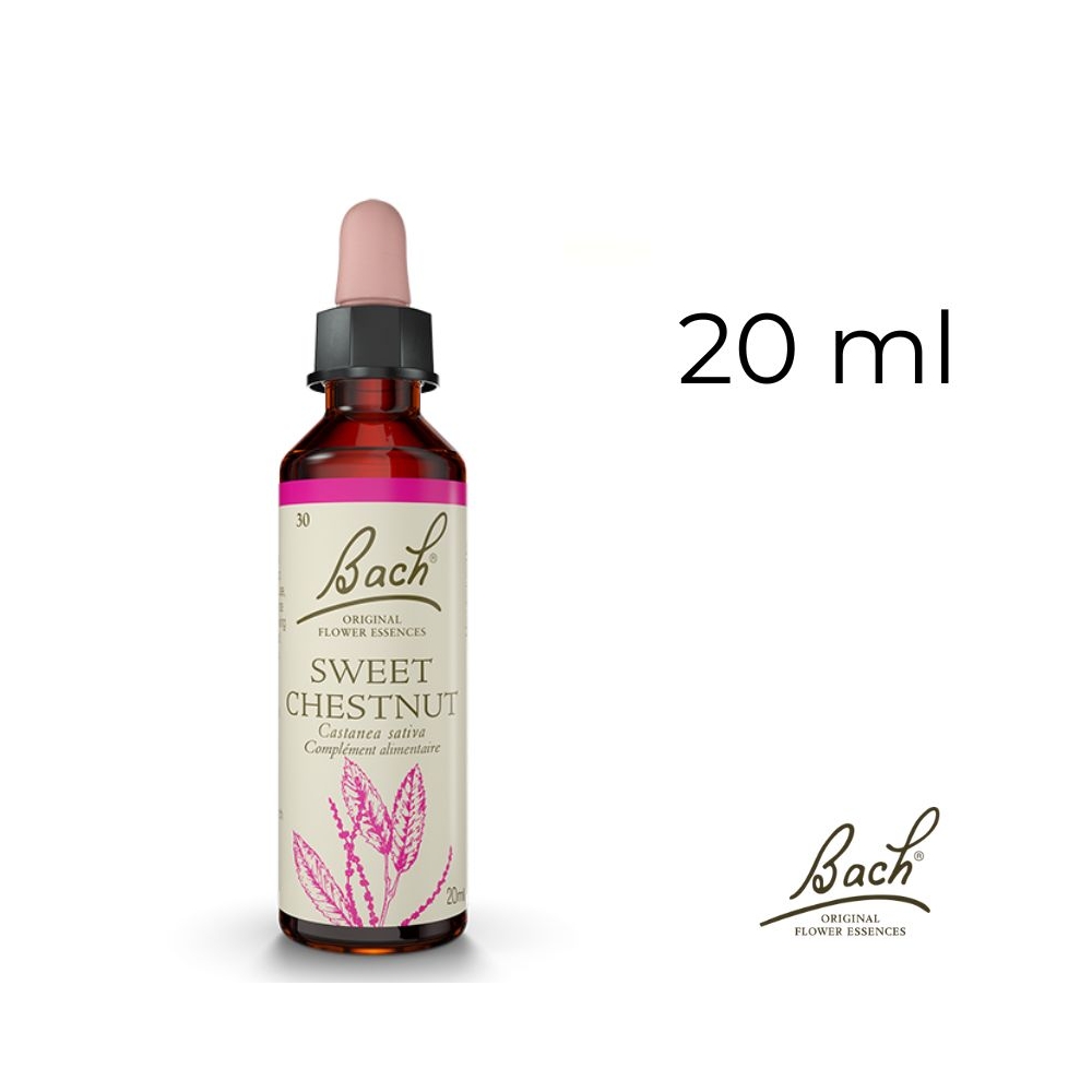 Sweet Chestnut Bach Original - Fleur de Bach Authentique 20 ml (Châtaignier) Bach Original Nelsons 1 - mesfleursdebach.com Sweet Chestnut Bach Original - Fleur de Bach Authentique 20 ml (Châtaignier) Bach Original Nelsons 1 - mesfleursdebach.com