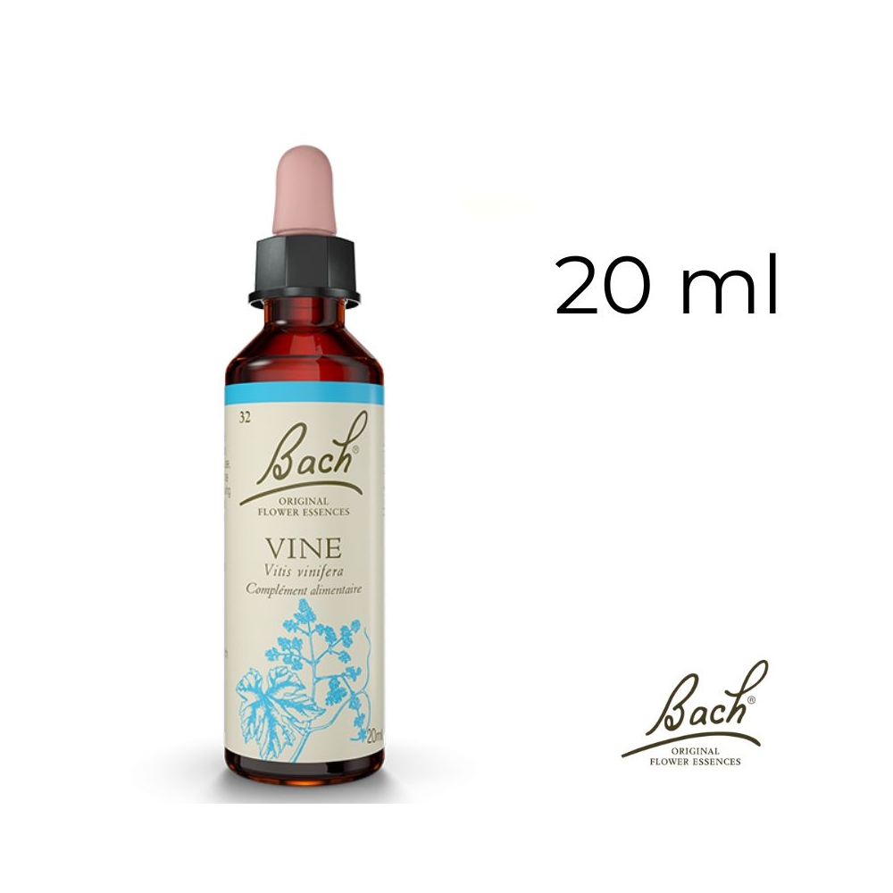 Vine Bach Original - Fleur de Bach Authentique 20 ml (Vigne) Bach Original Nelsons 1 - mesfleursdebach.com Vine Bach Original - Fleur de Bach Authentique 20 ml (Vigne) Bach Original Nelsons 1 - mesfleursdebach.com