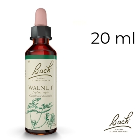 Walnut Bach Original - Fleur de Bach Authentique 20 ml (Noyer) Bach Original Nelsons 1 - mesfleursdebach.com 