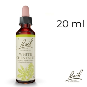 White Chestnut Bach Original - Fleur de Bach Authentique 20 ml (Marronnier Blanc) Bach Original Nelsons 1 - mesfleursdebach.com 