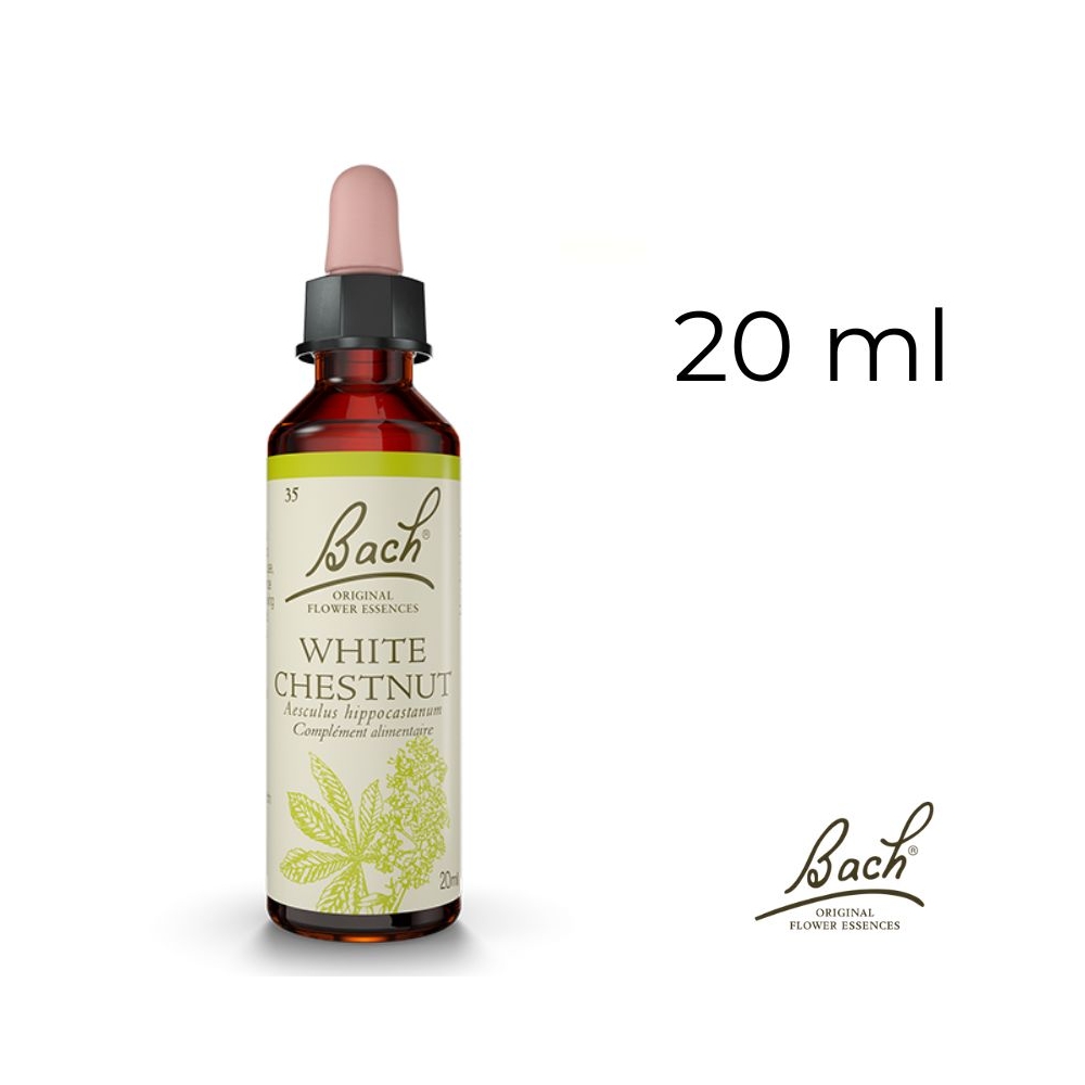 White Chestnut Bach Original - Fleur de Bach Authentique 20 ml (Marronnier Blanc) Bach Original Nelsons 1 - mesfleursdebach.com 
