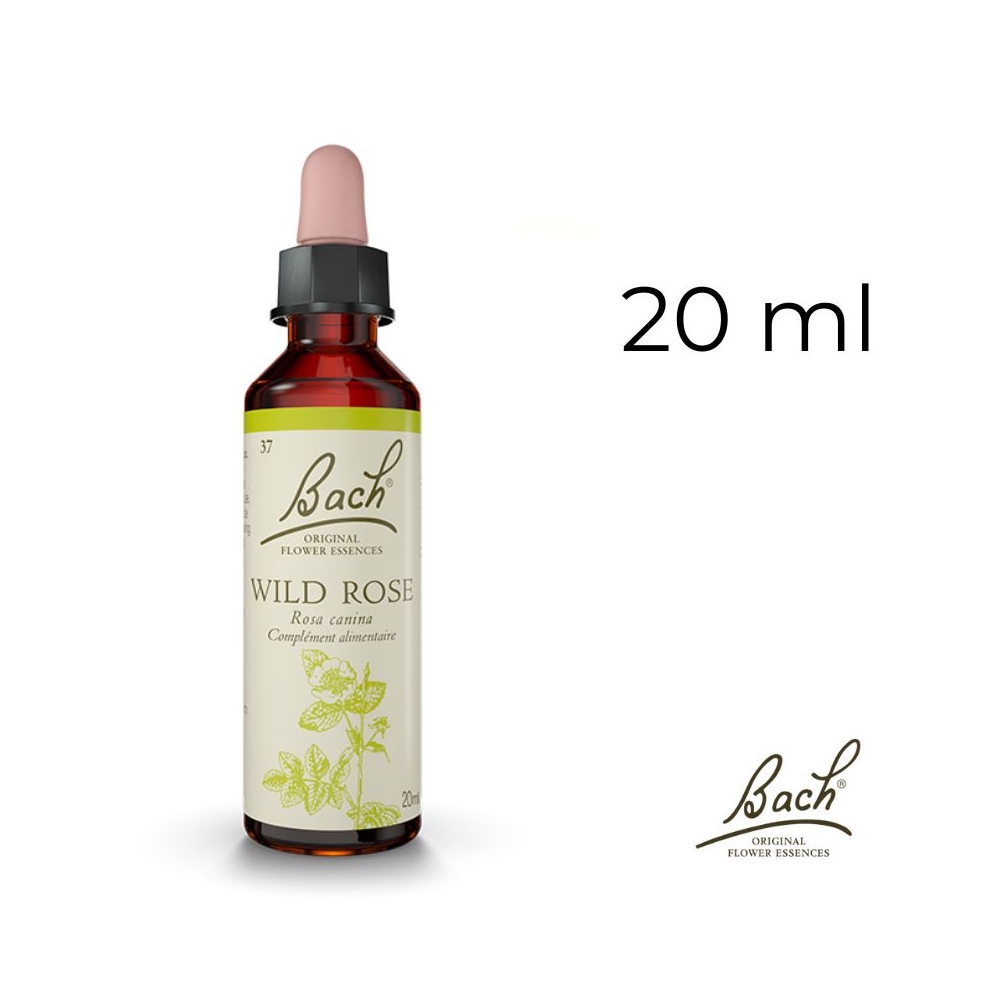Wild Rose Bach Original - Fleur de Bach Authentique 20 ml (Églantine) Bach Original Nelsons 1 - mesfleursdebach.com 