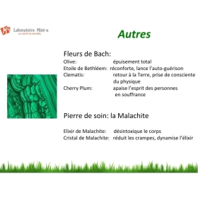 Huile de massage 500 ML Bien-être Z-Massage Laboratoire Mint-e 8 - mesfleursdebach.com 