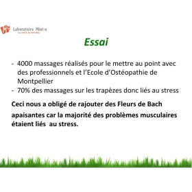 Huile de massage 500 ML Bien-être Z-Massage Laboratoire Mint-e 7 - mesfleursdebach.com 