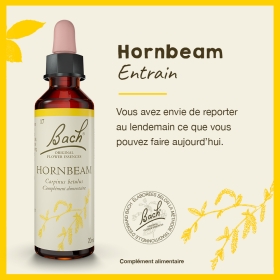 Hornbeam Bach Original - Fleur de Bach Authentique 20 ml (Charme) Bach Original Nelsons 1 - mesfleursdebach.com 