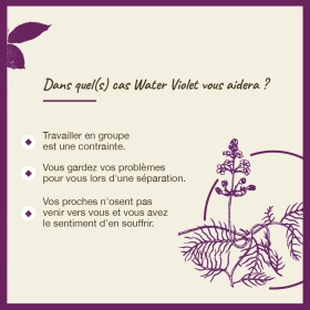 Water Violet Bach Original - Fleur de Bach Authentique 20 ml (Violette d'Eau) Bach Original Nelsons 4 - mesfleursdebach.com 
