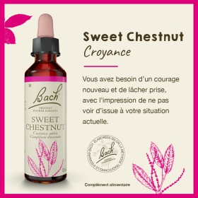 Sweet Chestnut Bach Original - Fleur de Bach Authentique 20 ml (Châtaignier) Bach Original Nelsons 1 - mesfleursdebach.com 