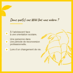 Wild Oat Bach Original - Fleur de Bach Authentique 20 ml (Folle Avoine) Bach Original Nelsons 4 - mesfleursdebach.com 