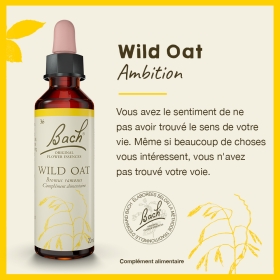 Wild Oat Bach Original - Fleur de Bach Authentique 20 ml (Folle Avoine) Bach Original Nelsons 1 - mesfleursdebach.com 