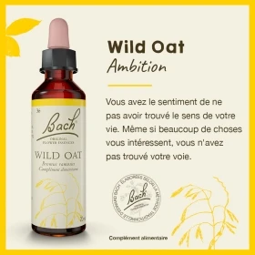 Wild Oat Bach Original - Fleur de Bach Authentique 20 ml (Folle Avoine) Bach Original Nelsons 1 - mesfleursdebach.com 