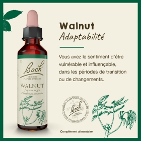 Walnut Bach Original - Fleur de Bach Authentique 20 ml (Noyer) Bach Original Nelsons 1 - mesfleursdebach.com 