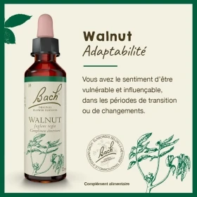 Walnut Bach Original - Fleur de Bach Authentique 20 ml (Noyer) Bach Original Nelsons 1 - mesfleursdebach.com 
