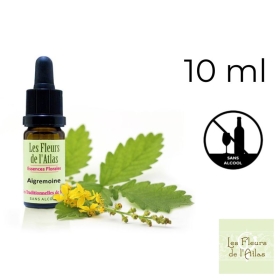 Agrimony Fleurs de Bach sans alcool - Fleurs de l'Atlas 10 ml (Aigremoine) Fleurs de l'Atlas - Sans alcool 1 - mesfleursdebach.c