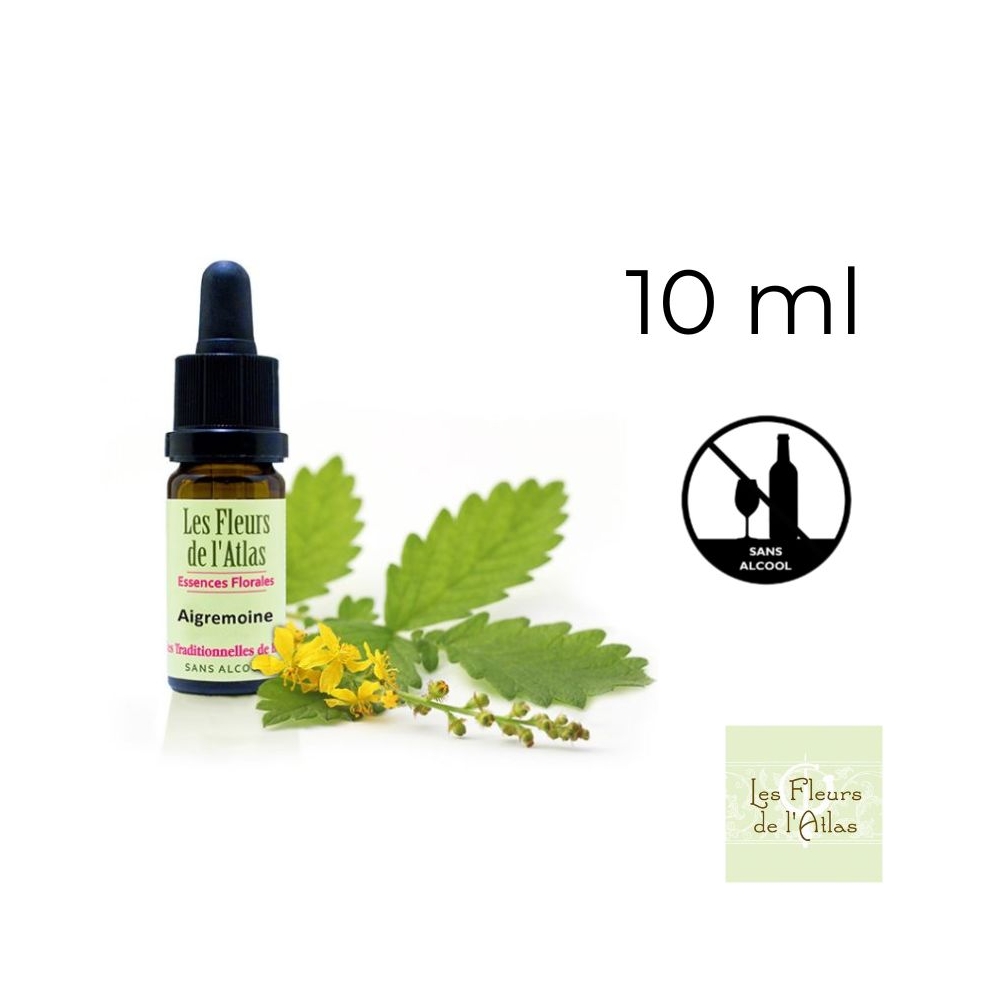 Agrimony Fleurs de Bach sans alcool - Fleurs de l'Atlas 10 ml (Aigremoine) Fleurs de l'Atlas - Sans alcool 1 - mesfleursdebach.c