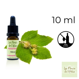 Beech Fleurs de Bach sans alcool - Fleurs de l'Atlas 10 ml (Hêtre) Fleurs de l'Atlas - Sans alcool 1 - mesfleursdebach.com 
