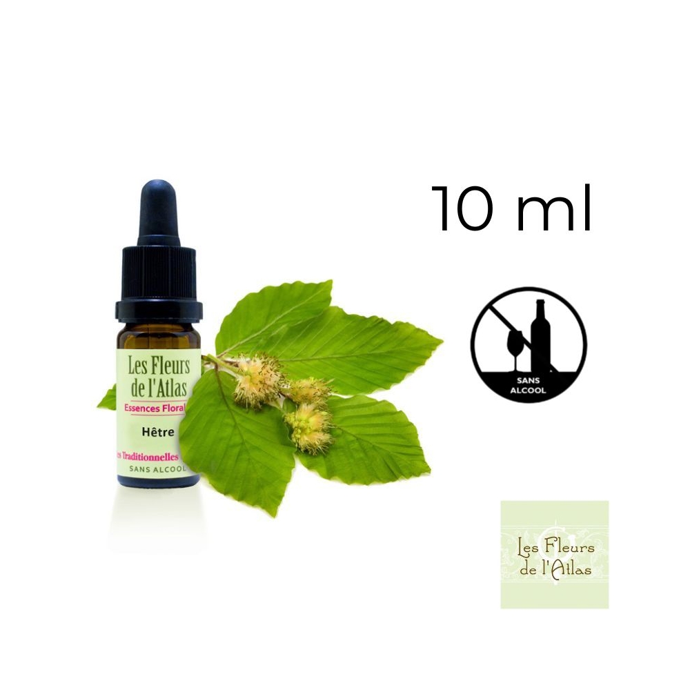 Beech Fleurs de Bach sans alcool - Fleurs de l'Atlas 10 ml (Hêtre) Fleurs de l'Atlas - Sans alcool 1 - mesfleursdebach.com 