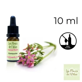 Centaury Fleurs de Bach sans alcool - Fleurs de l'Atlas 10 ml (Centaurée) Fleurs de l'Atlas - Sans alcool 1 - mesfleursdebach.co