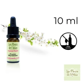 Cherry Plum Fleurs de Bach sans alcool - Fleurs de l'Atlas 10 ml (Prunier Myrobolan) Fleurs de l'Atlas - Sans alcool 1 - mesfleu