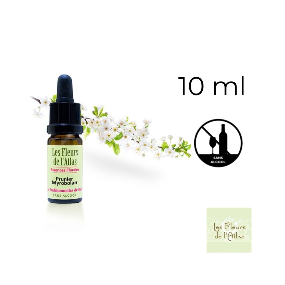 Cherry Plum Fleurs de Bach sans alcool - Fleurs de l'Atlas 10 ml (Prunier Myrobolan) Fleurs de l'Atlas - Sans alcool 1 - mesfleu