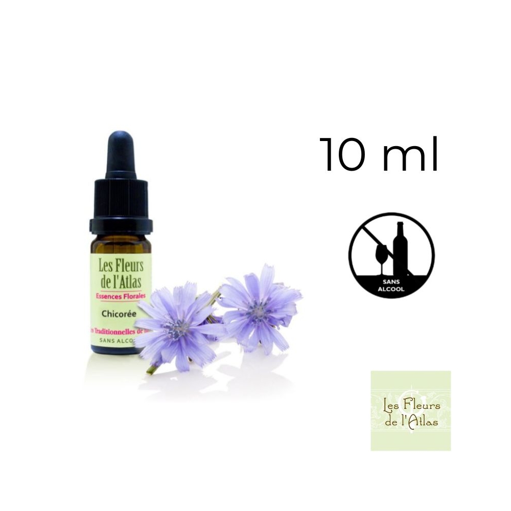 Chicory Fleurs de Bach sans alcool - Fleurs de l'Atlas 10 ml (Chicorée) Fleurs de l'Atlas - Sans alcool 1 - mesfleursdebach.com Chicory Fleurs de Bach sans alcool - Fleurs de l'Atlas 10 ml (Chicorée) Fleurs de l'Atlas - Sans alcool 1 - mesfleursdebach.com