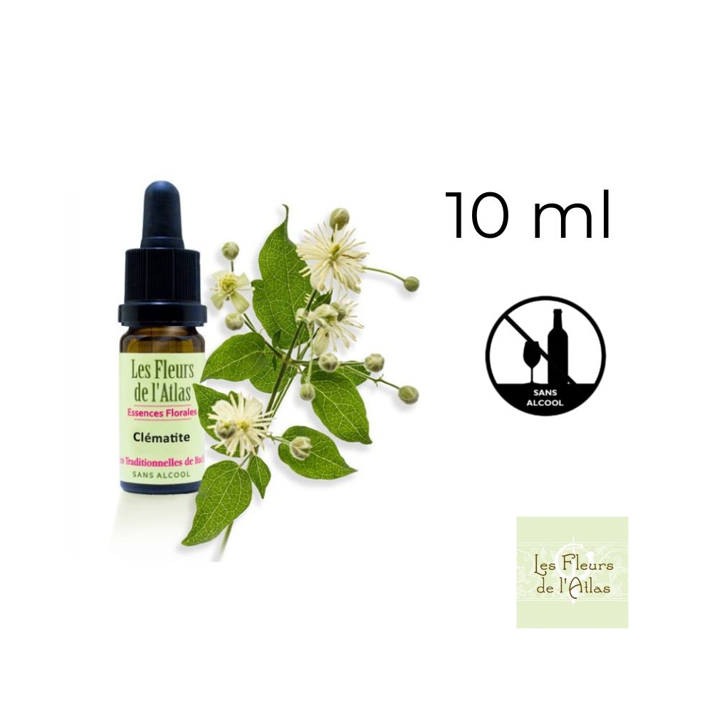 Clematis Fleurs de Bach sans alcool - Fleurs de l'Atlas 10 ml (Clématite) Fleurs de l'Atlas - Sans alcool 1 - mesfleursdebach.co Clematis Fleurs de Bach sans alcool - Fleurs de l'Atlas 10 ml (Clématite) Fleurs de l'Atlas - Sans alcool 1 - mesfleursdebach.co