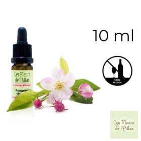 Crab Apple Fleurs de Bach sans alcool - Fleurs de l'Atlas 10 ml (Pommier Sauvage) Fleurs de l'Atlas - Sans alcool 1 - mesfleursd