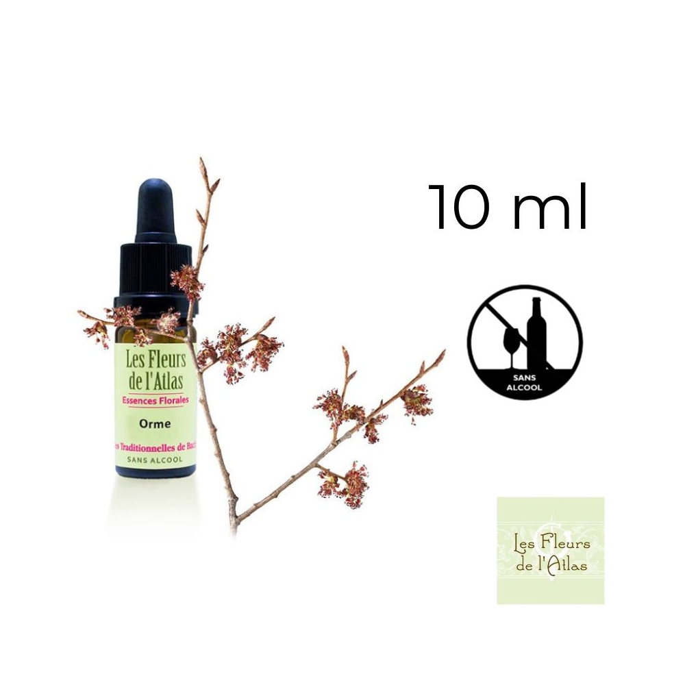 Elm Fleurs de Bach sans alcool - Fleurs de l'Atlas 10 ml (Orme) Fleurs de l'Atlas - Sans alcool 1 - mesfleursdebach.com 