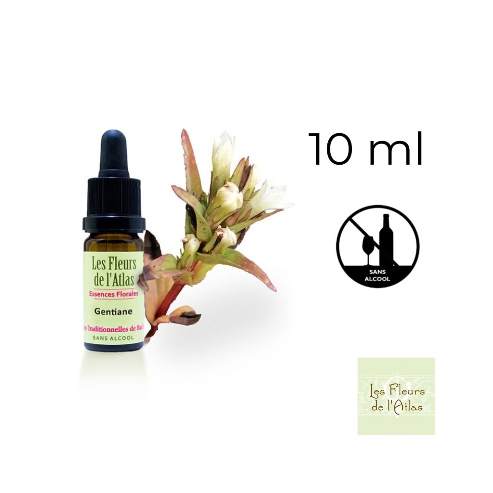 Gentian Fleurs de Bach sans alcool - Fleurs de l'Atlas 10 ml (Gentiane) Fleurs de l'Atlas - Sans alcool 1 - mesfleursdebach.com 
