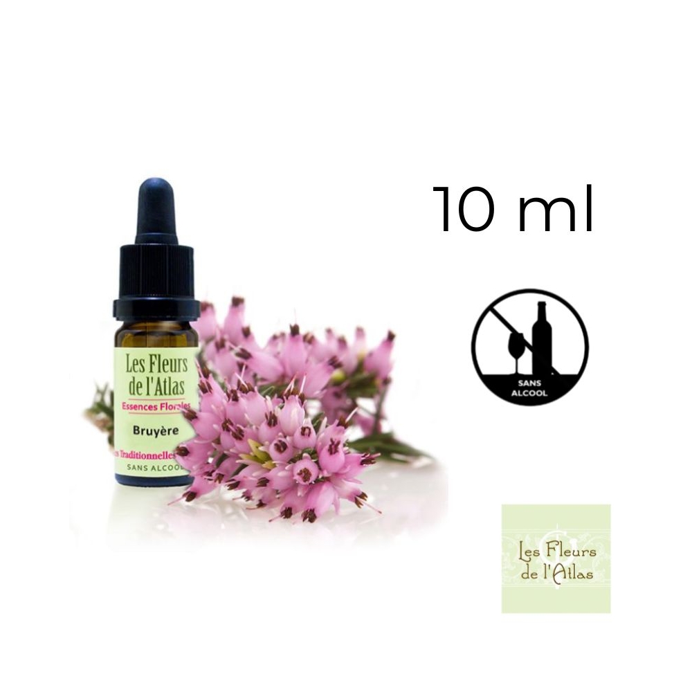 Heather Fleurs de Bach sans alcool - Fleurs de l'Atlas 10 ml (Bruyère) Fleurs de l'Atlas - Sans alcool 1 - mesfleursdebach.com Heather Fleurs de Bach sans alcool - Fleurs de l'Atlas 10 ml (Bruyère) Fleurs de l'Atlas - Sans alcool 1 - mesfleursdebach.com