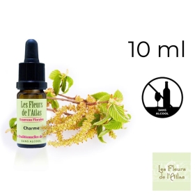 Hornbeam Fleurs de Bach sans alcool - Fleurs de l'Atlas 10 ml (Charme) Fleurs de l'Atlas - Sans alcool 1 - mesfleursdebach.com 