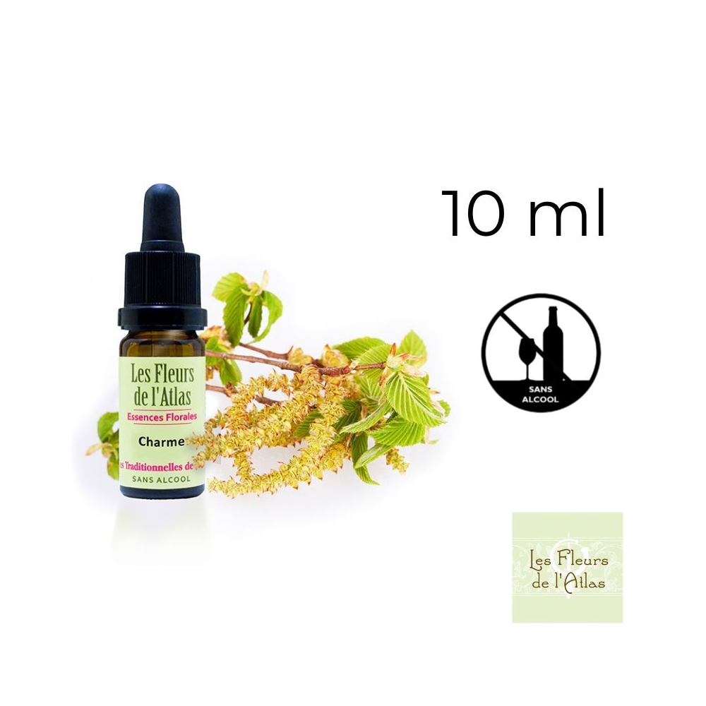 Hornbeam Fleurs de Bach sans alcool - Fleurs de l'Atlas 10 ml (Charme) Fleurs de l'Atlas - Sans alcool 1 - mesfleursdebach.com 